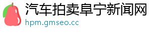 汽车拍卖阜宁新闻网